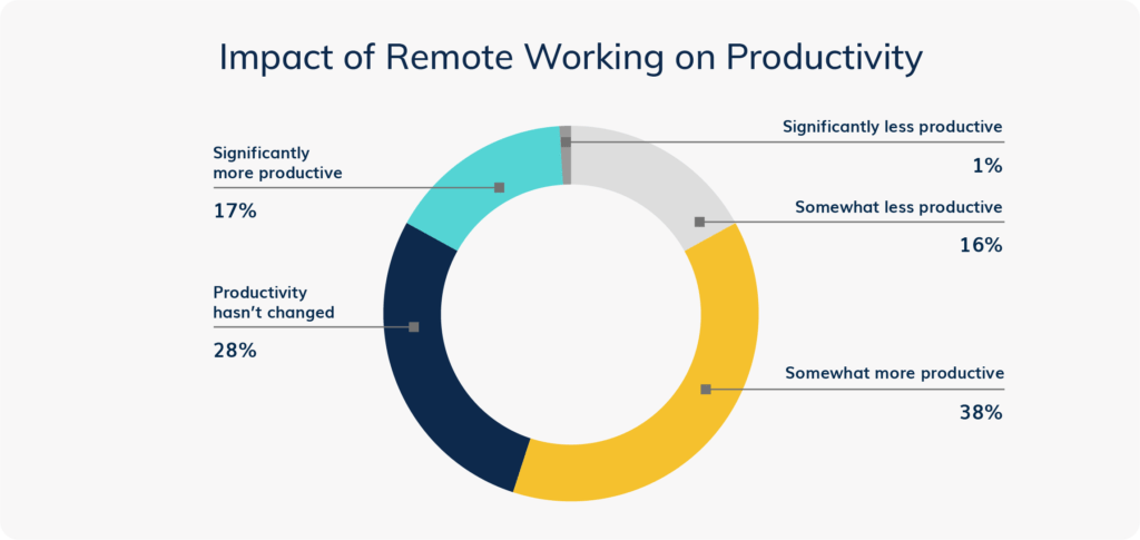 B2B Sales Survey - Impact of Remote Working on Productivity